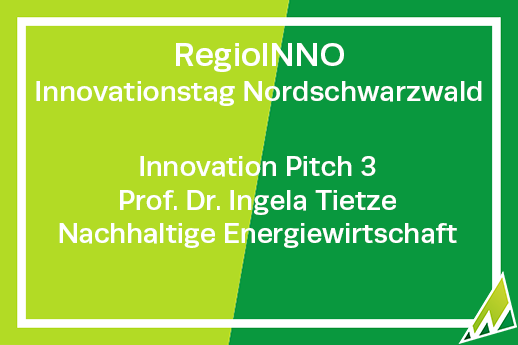 RegioINNO Innovationstag Nordschwarzwald Innovation Pitch 3 Prof. Dr. Ingela Tietze