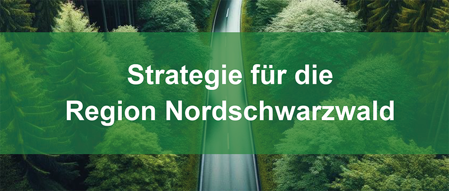 Strategie für die Region Nordschwarzwald